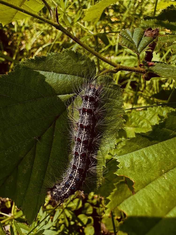 Photograph by Диана Бадеева