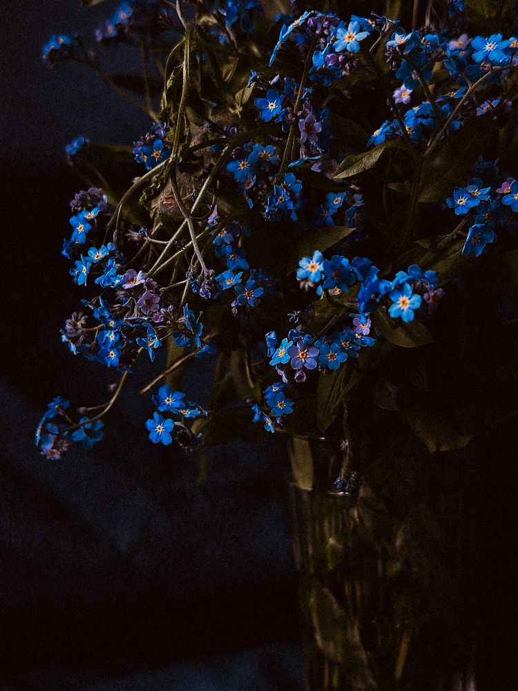 Photograph by Диана Бадеева