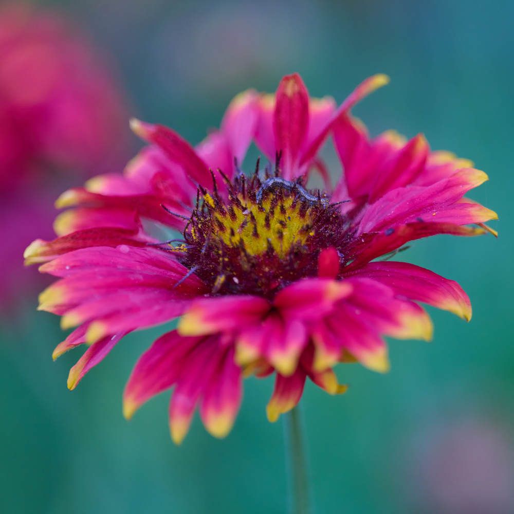 Photograph by Дмитрий Солодухин