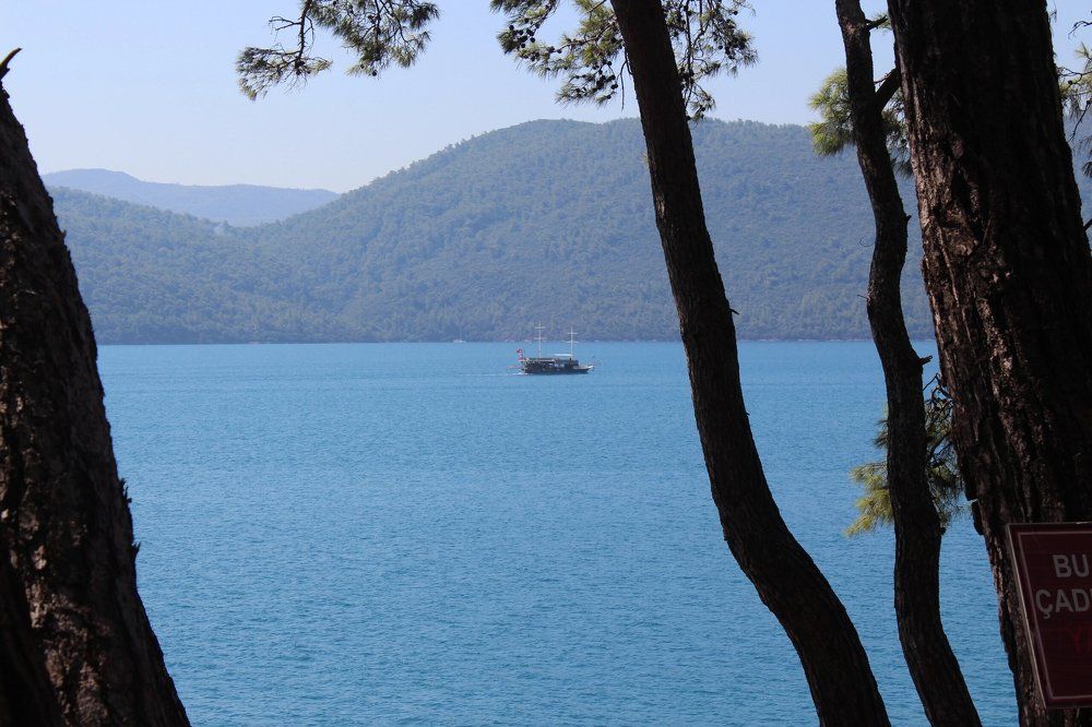 Photograph by Анастасия Макарова