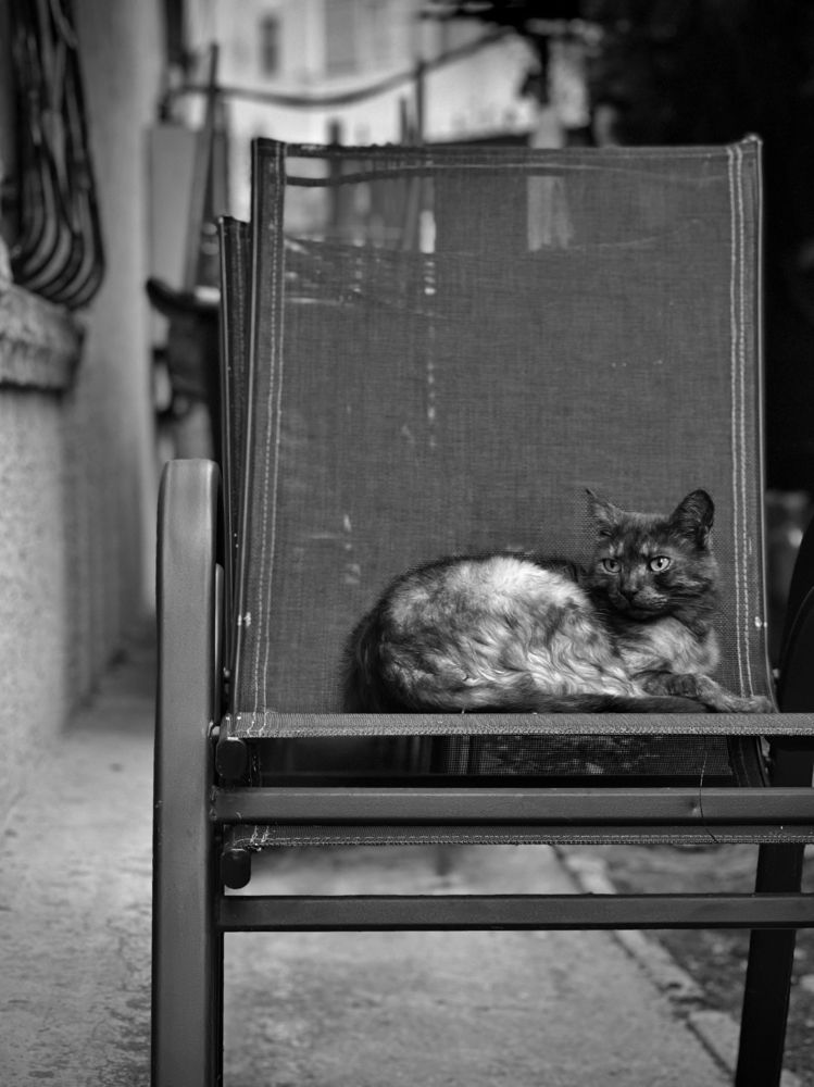 Photograph by Мария Ковригина