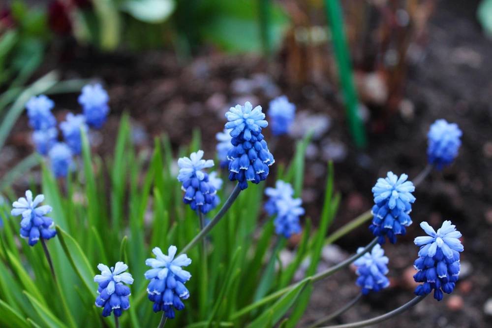 Photograph by Анастасия Макарова