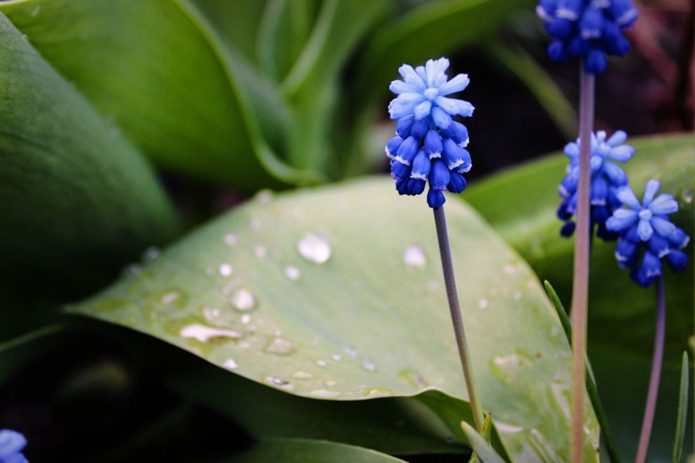 Photograph by Анастасия Макарова