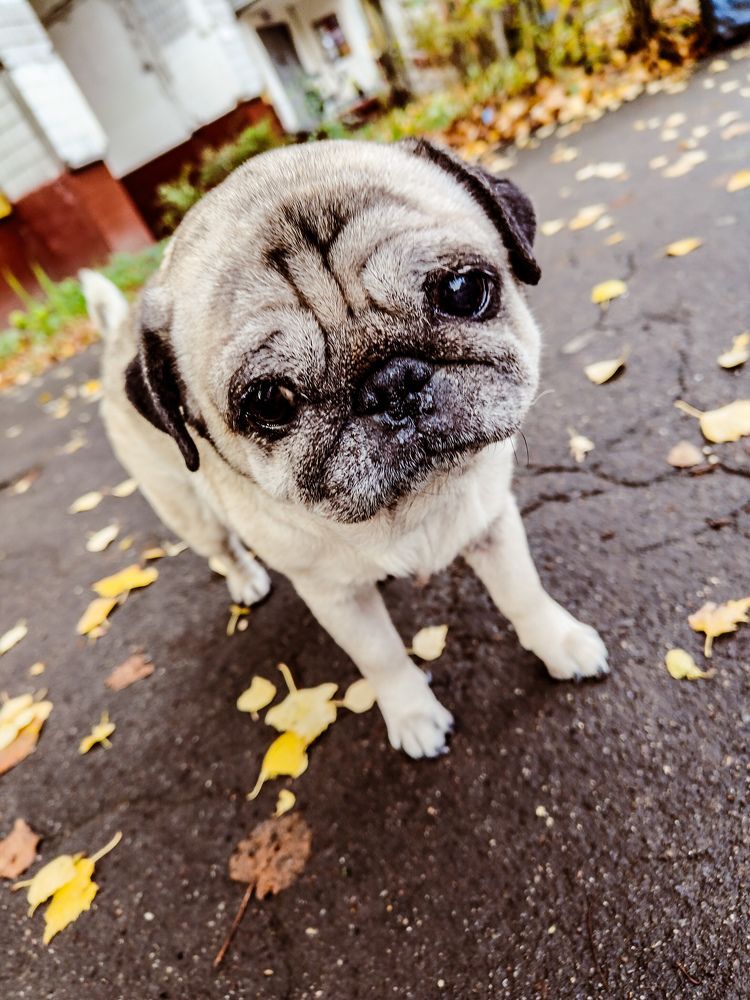 Photograph by Елена