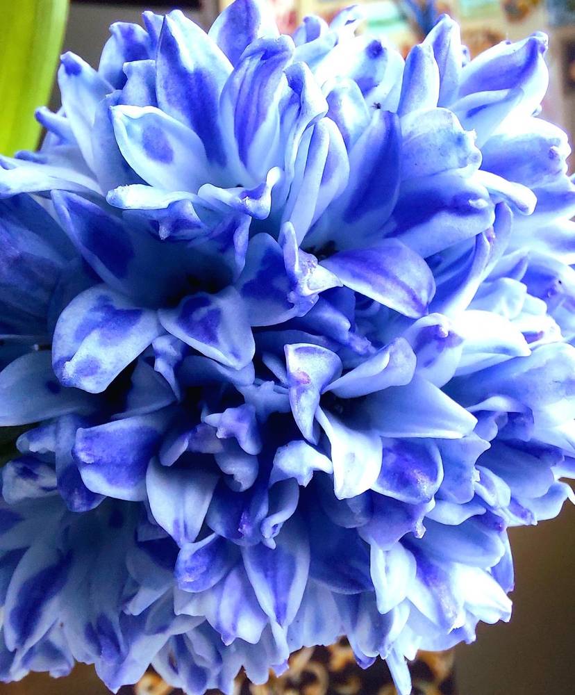 Фотография автора Анастасия