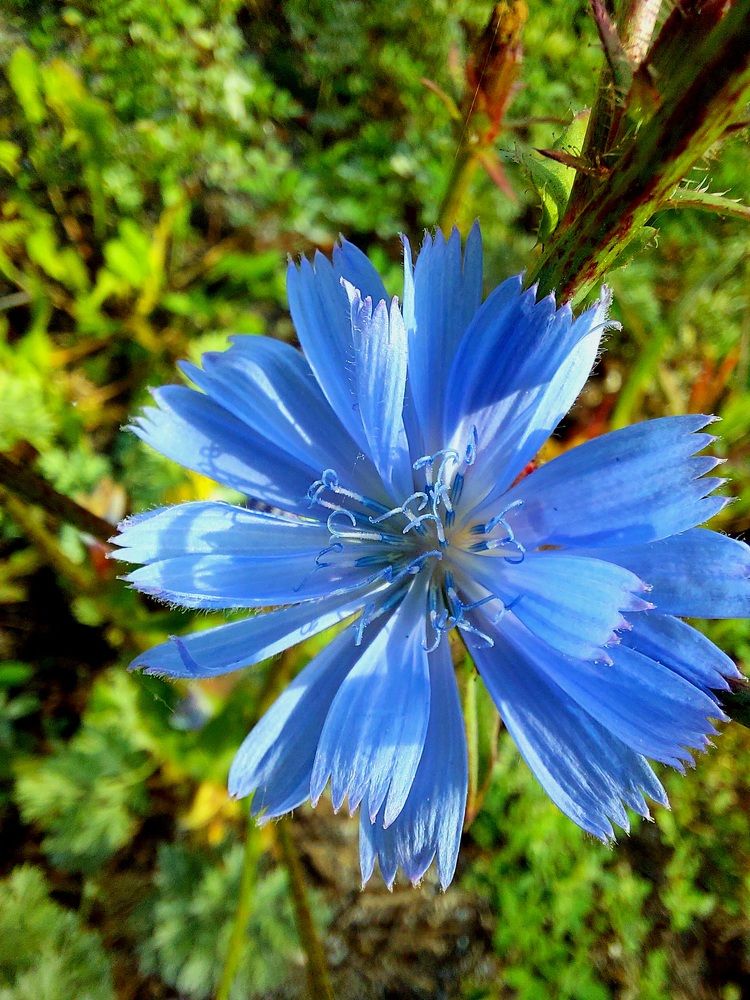 Фотография автора Анастасия