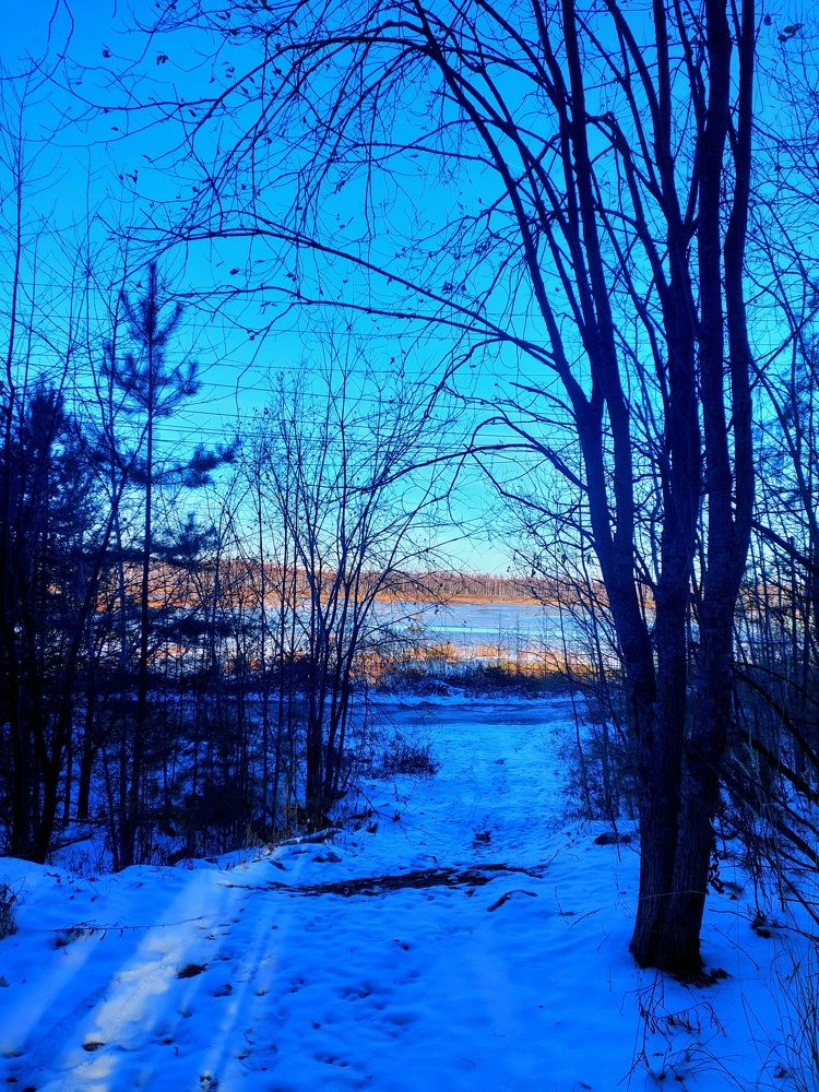 Фотография автора Анастасия