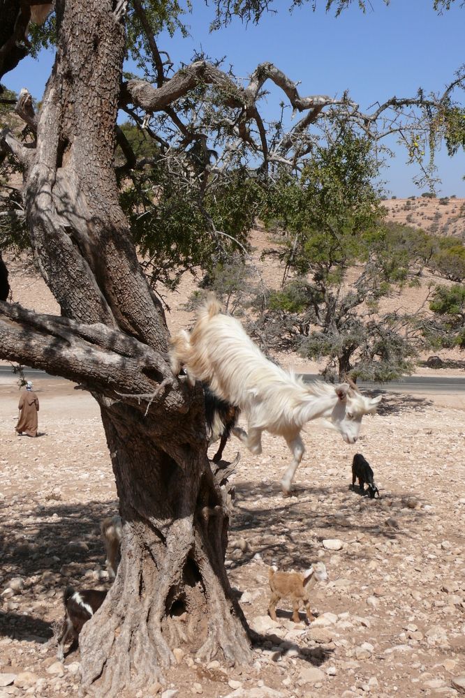 Photograph by Татьяна