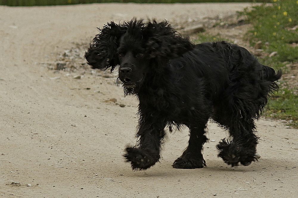 Photograph by Александр Велигура