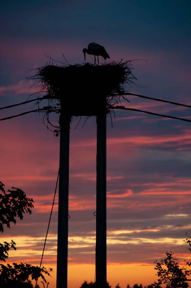 Фотография автора Ольга Белоусова