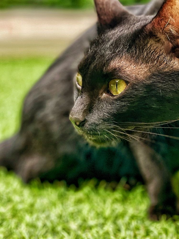 Photograph by Ирина Сорока