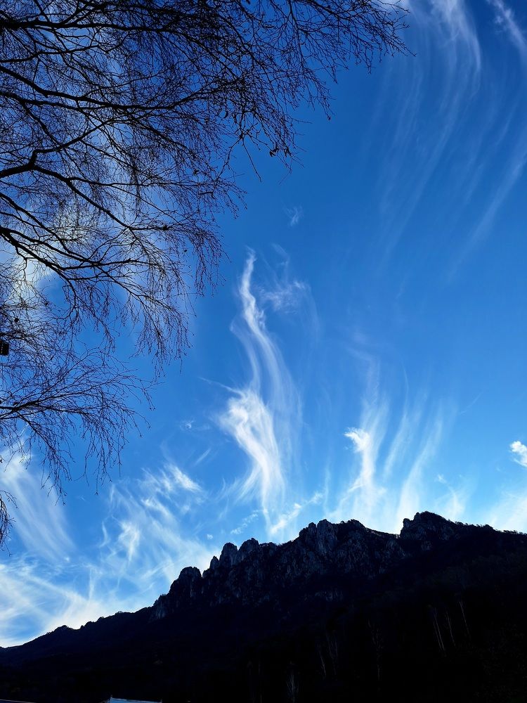 Photograph by Sonia Crotta