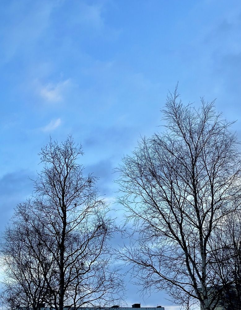 Photograph by Татьяна Раковская