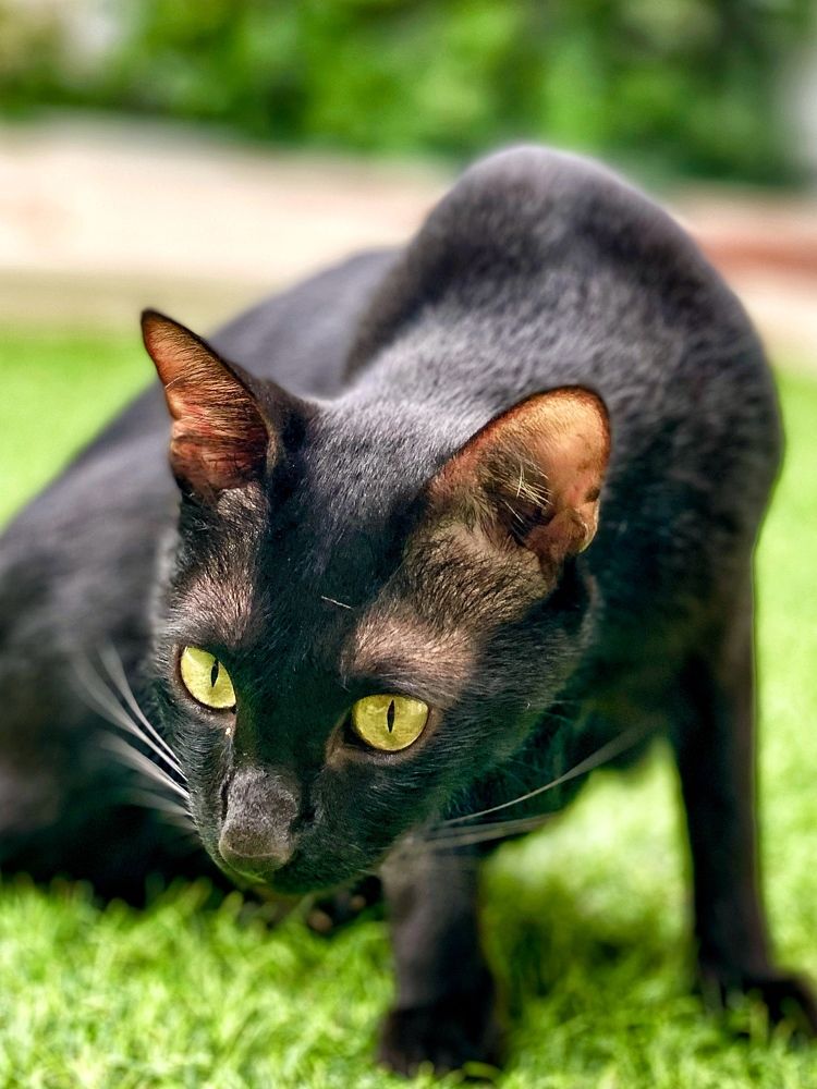 Photograph by Ирина Сорока