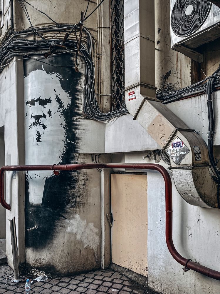 Photograph by Дарья Афанасьева