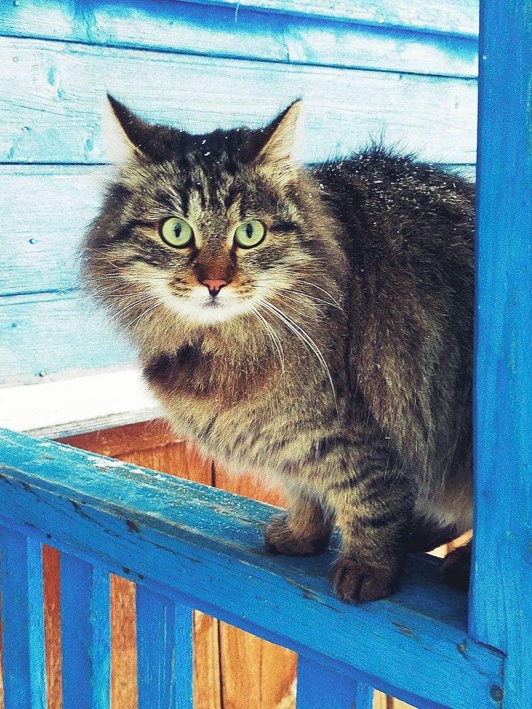 Photograph by Лилия Нурова