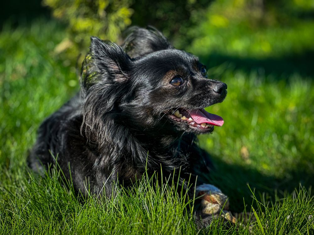 Photograph by Екатерина Слепнева