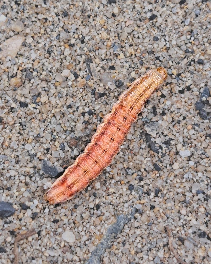 Photograph by Оксана Юдина