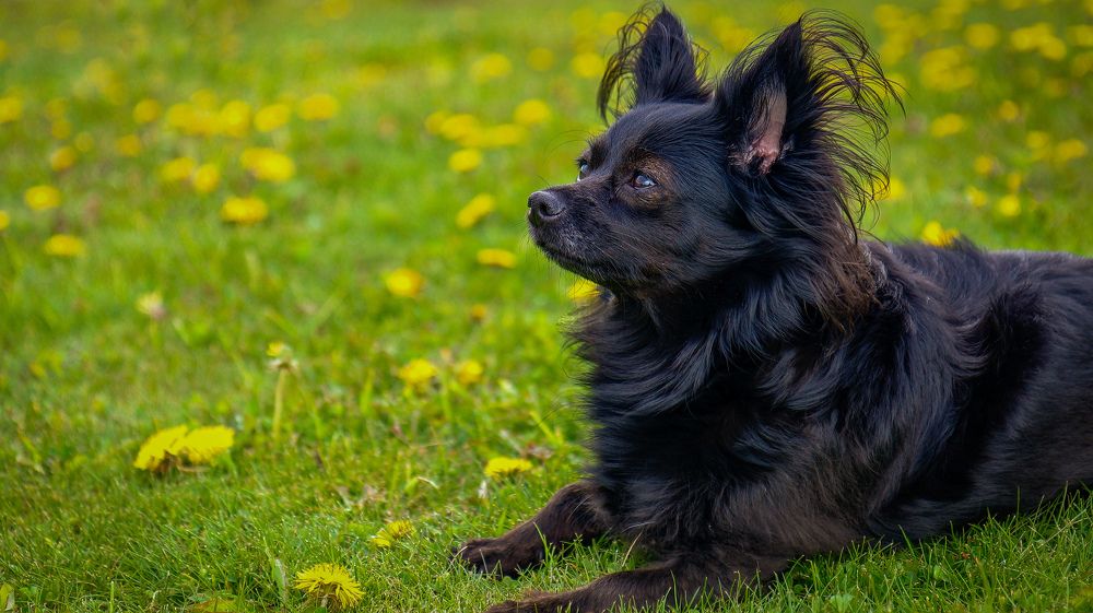 Photograph by Екатерина Слепнева