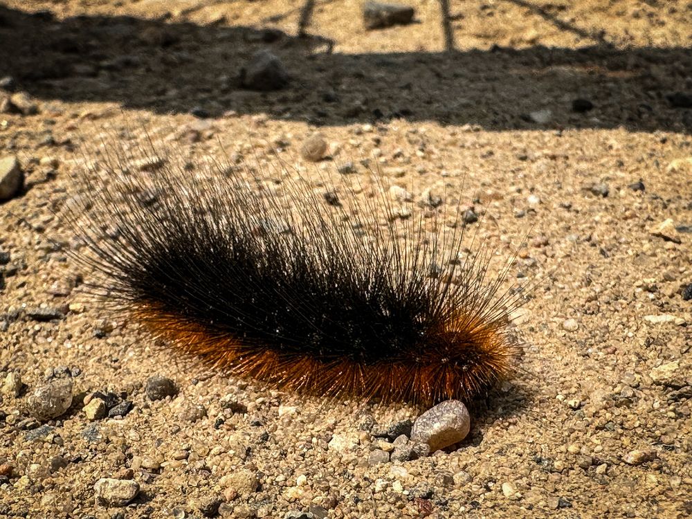 Photograph by Екатерина Слепнева