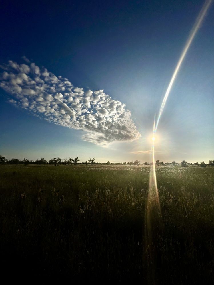 Photograph by Ольга Белоусова