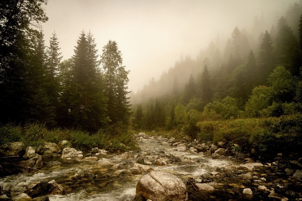 Photograph by Iva Ajva