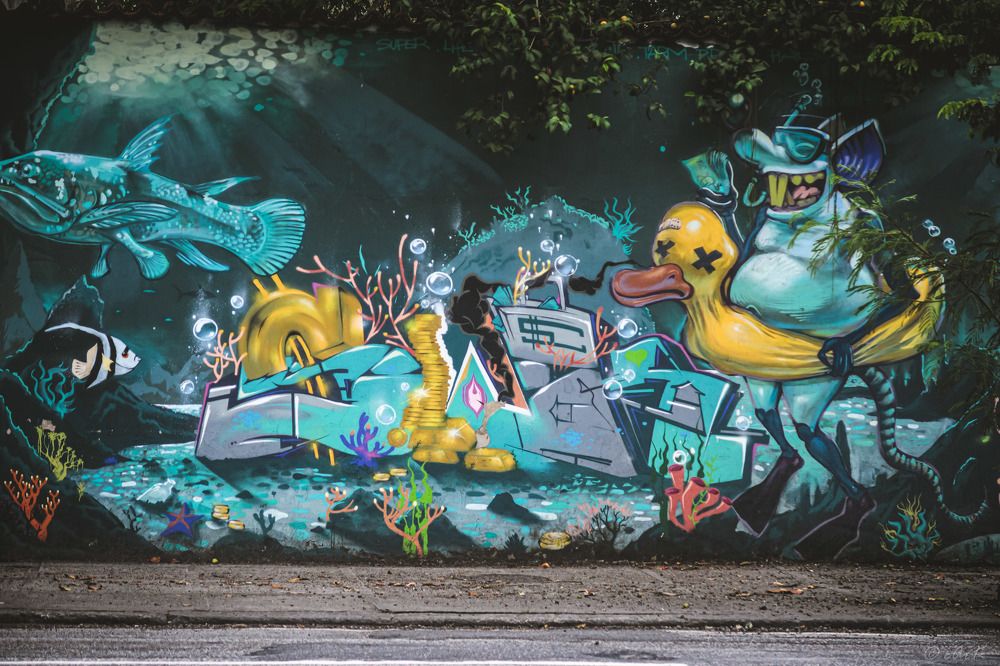 Photograph by CARLOS KIFFER