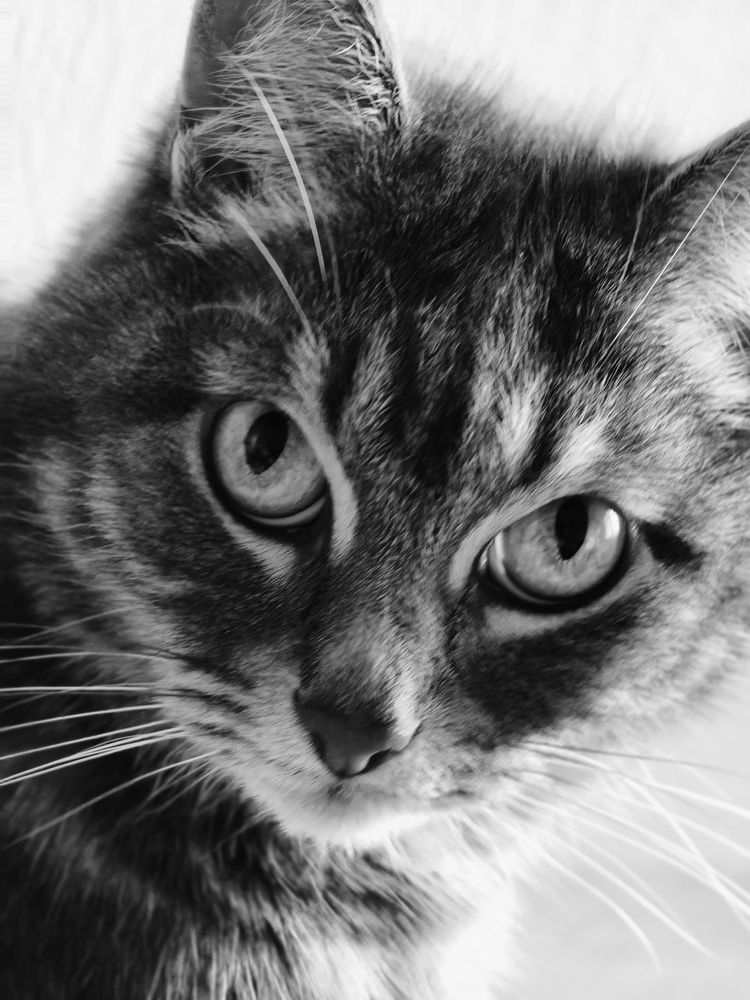 Photograph by Елена