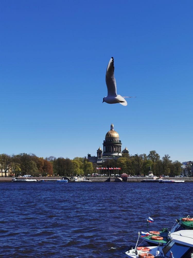Photograph by Анастасия Малинина