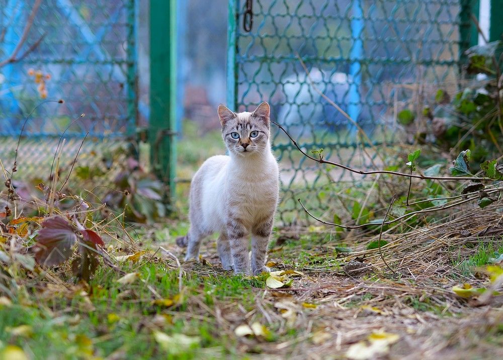 Photograph by Оксана Архипова