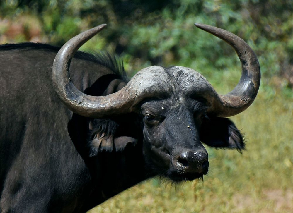 Photograph by Marjo Steffen