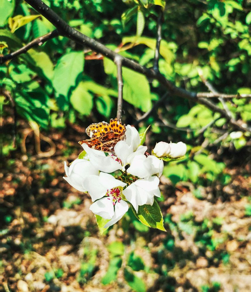 Photograph by Иван Крылов