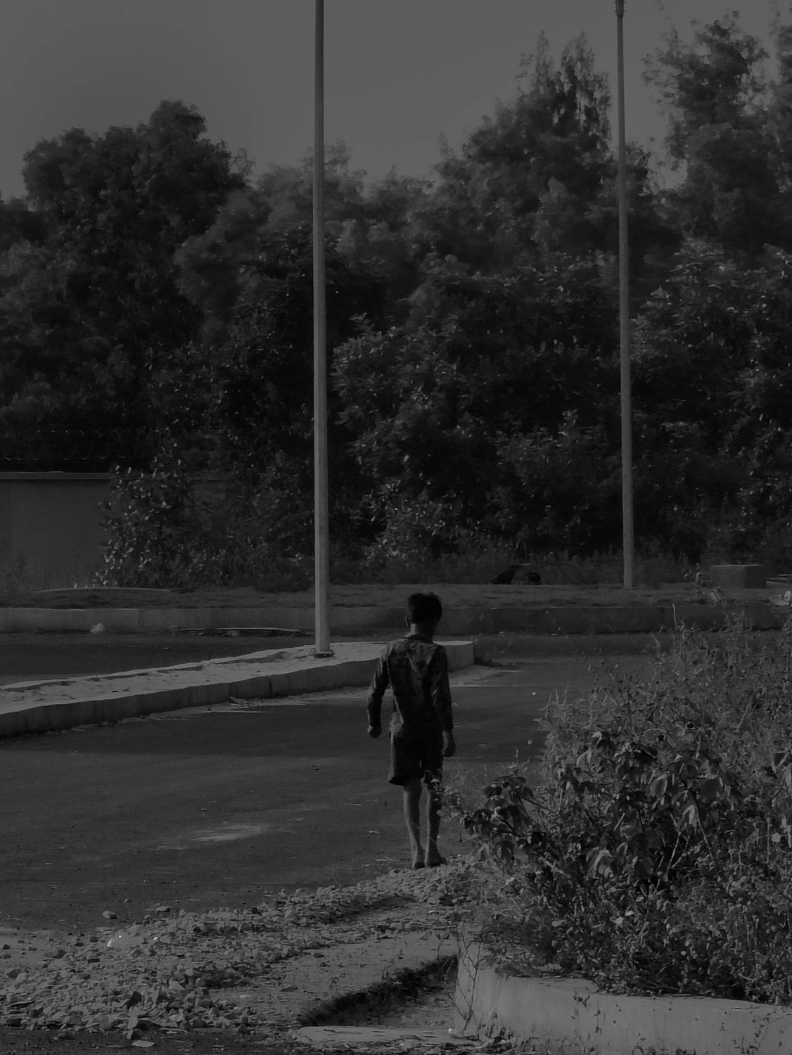 Photo #11317800