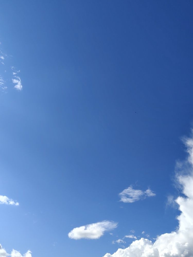 Photograph by Елена