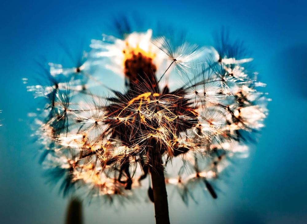 Photograph by Владимир Сушкин