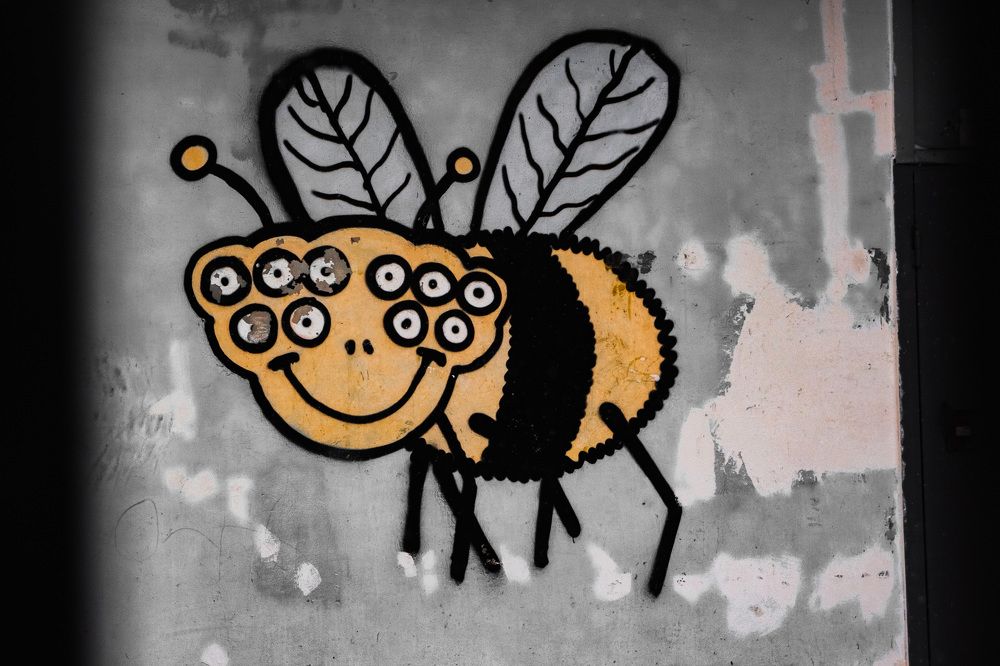 Photograph by Михаил Костыря