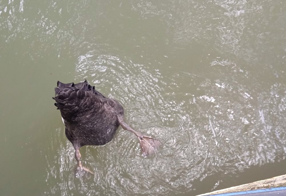 Photograph by Наталья Сорокина