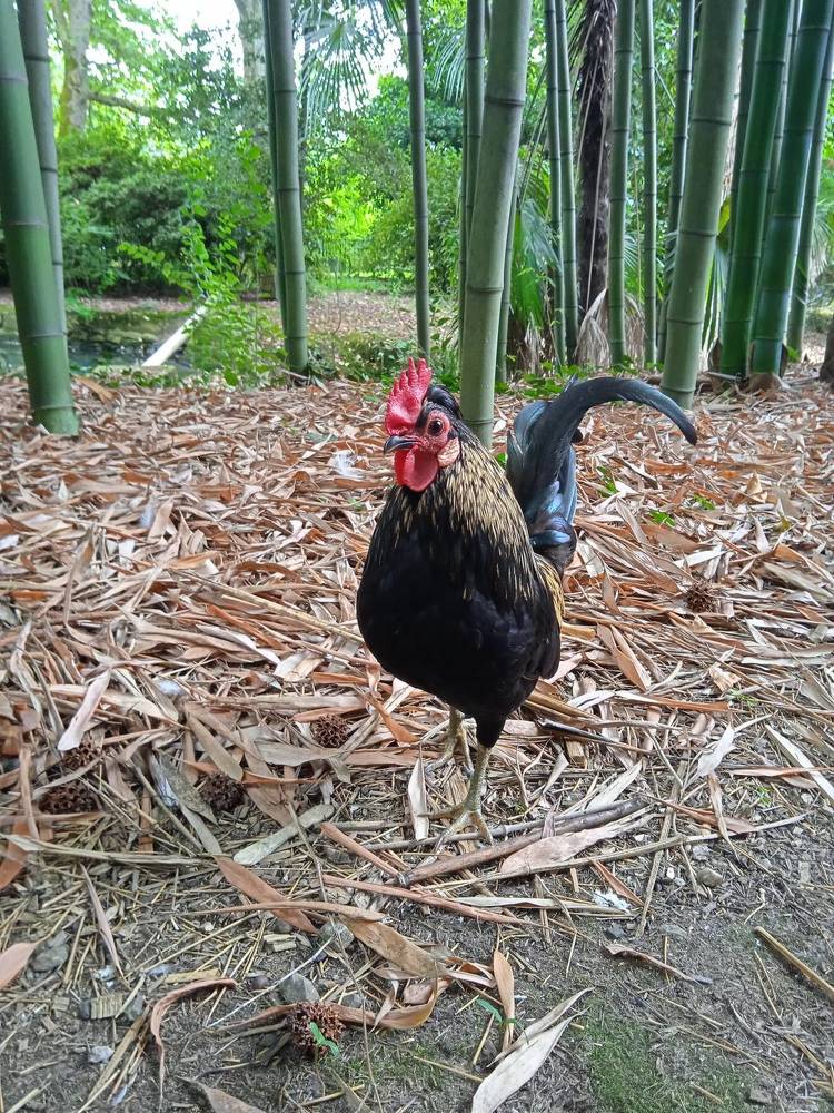 Photograph by Наталья Сорокина