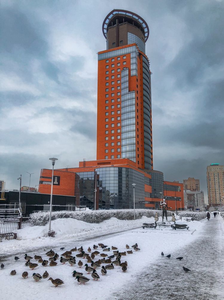 Photograph by Алексей Горин