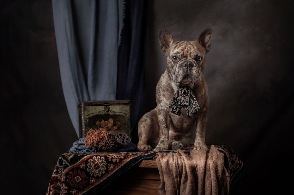 Photograph by Goené Gertrude