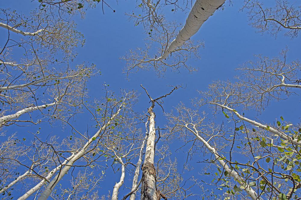 Photograph by Гришанов Пётр