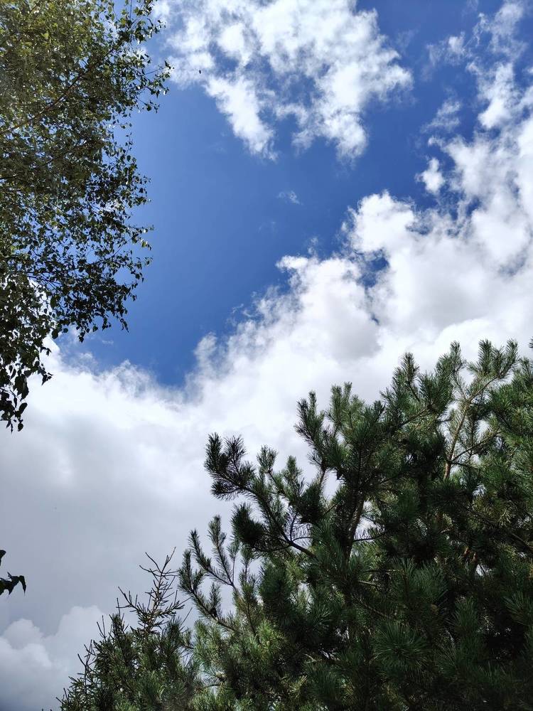 Photograph by Елена