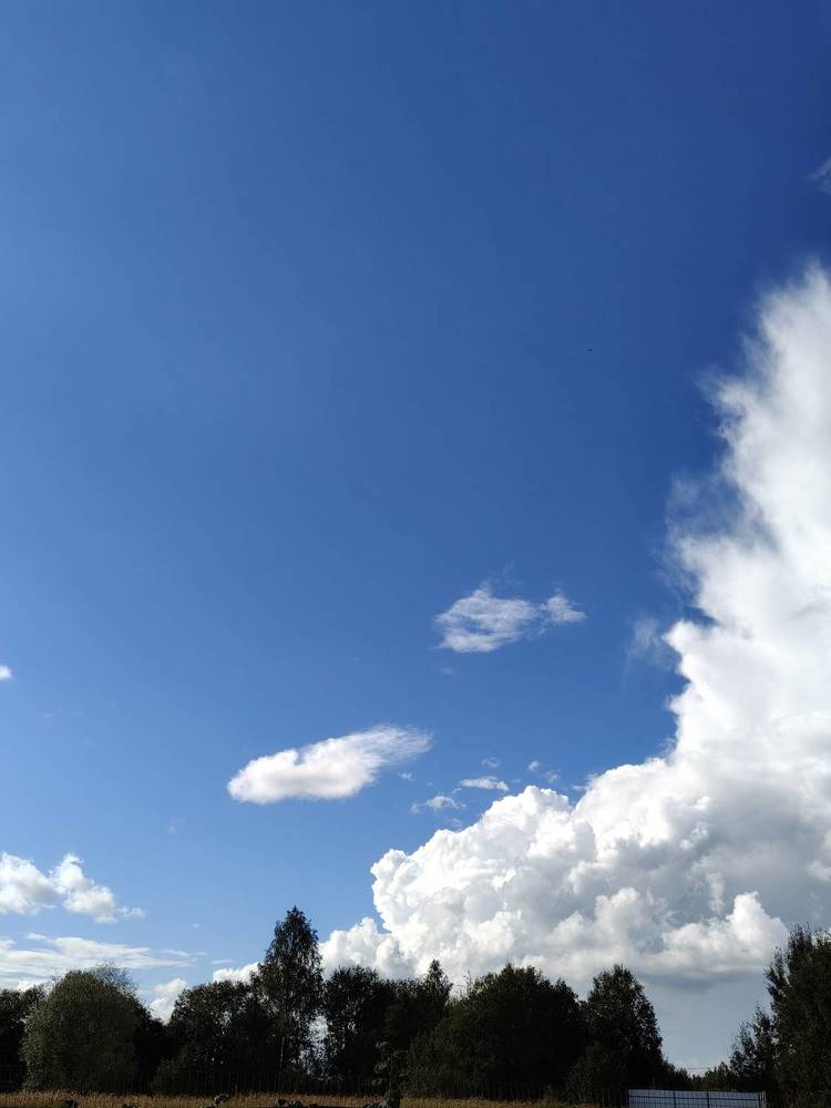 Photograph by Елена