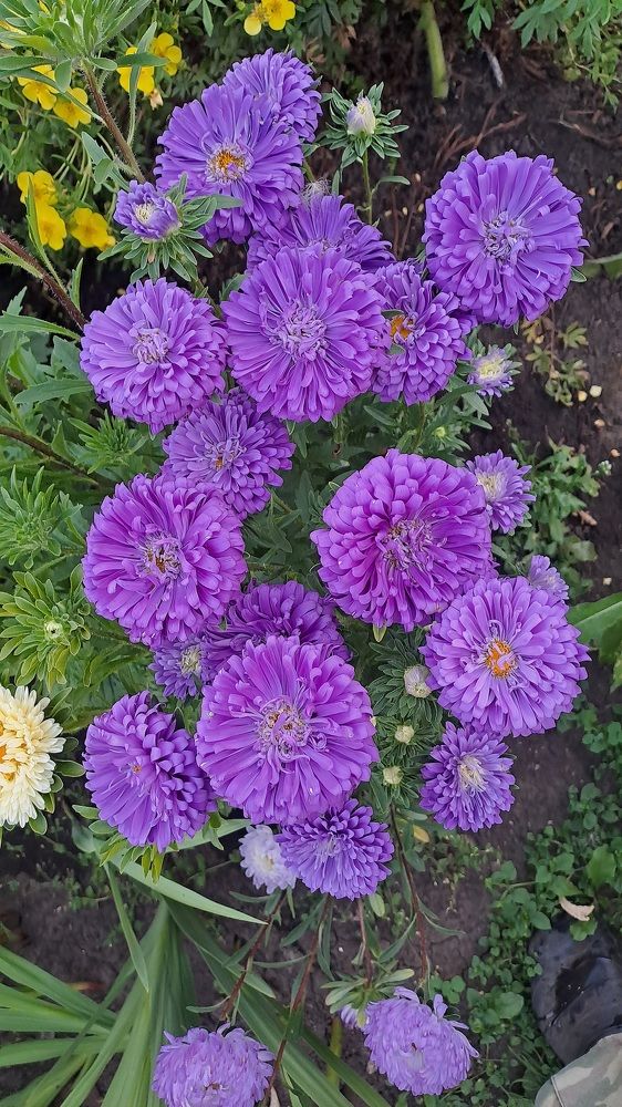 Photograph by Николай Худяков