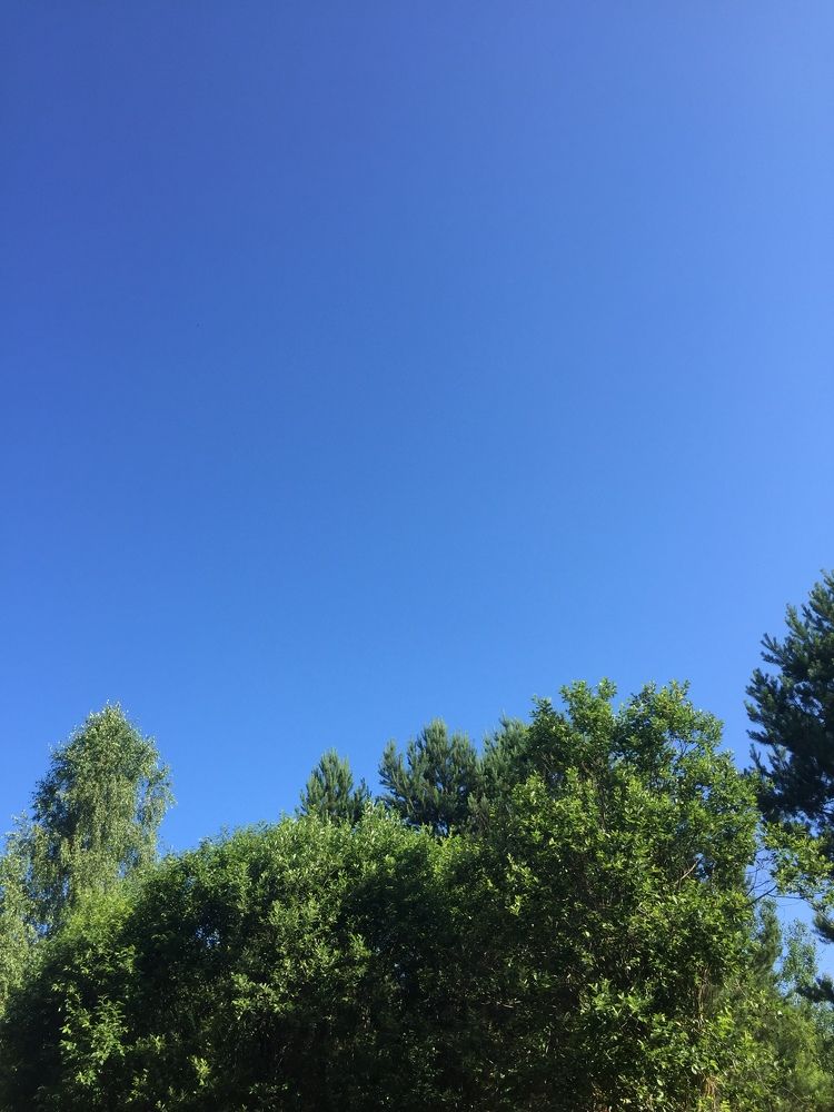 Photograph by Светлана Петрова