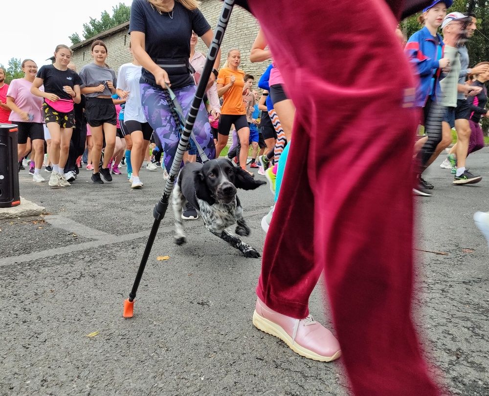 Photograph by Татьяна Абабкова