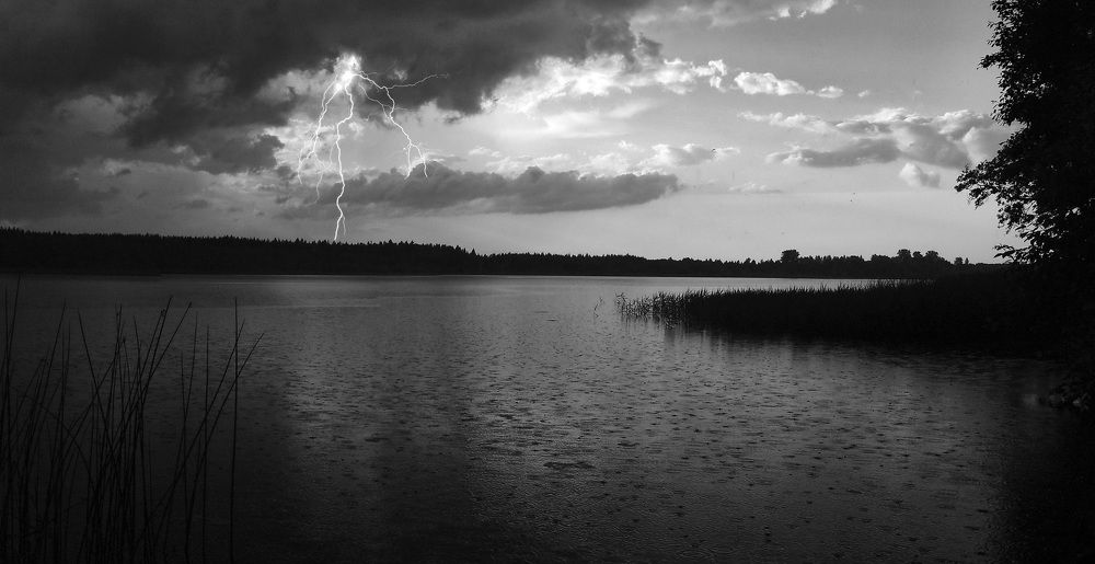 Фотография автора Анатолий Дауров