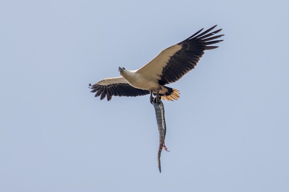 Photograph by Ivan Smorkalov