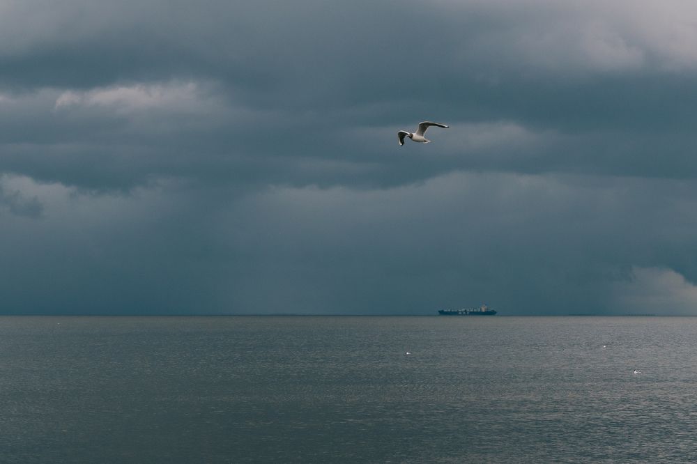 Photograph by Анастасия