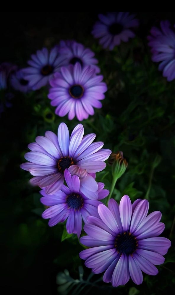 Photograph by Polina Svirida